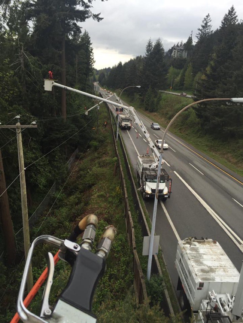 Tree cabling near hydro lines in North Vancouver