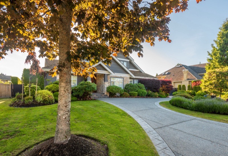 Expert Tree Service for Urban Properties