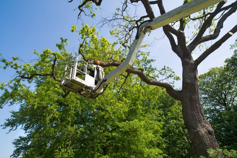 A Simple Guide to Pruning