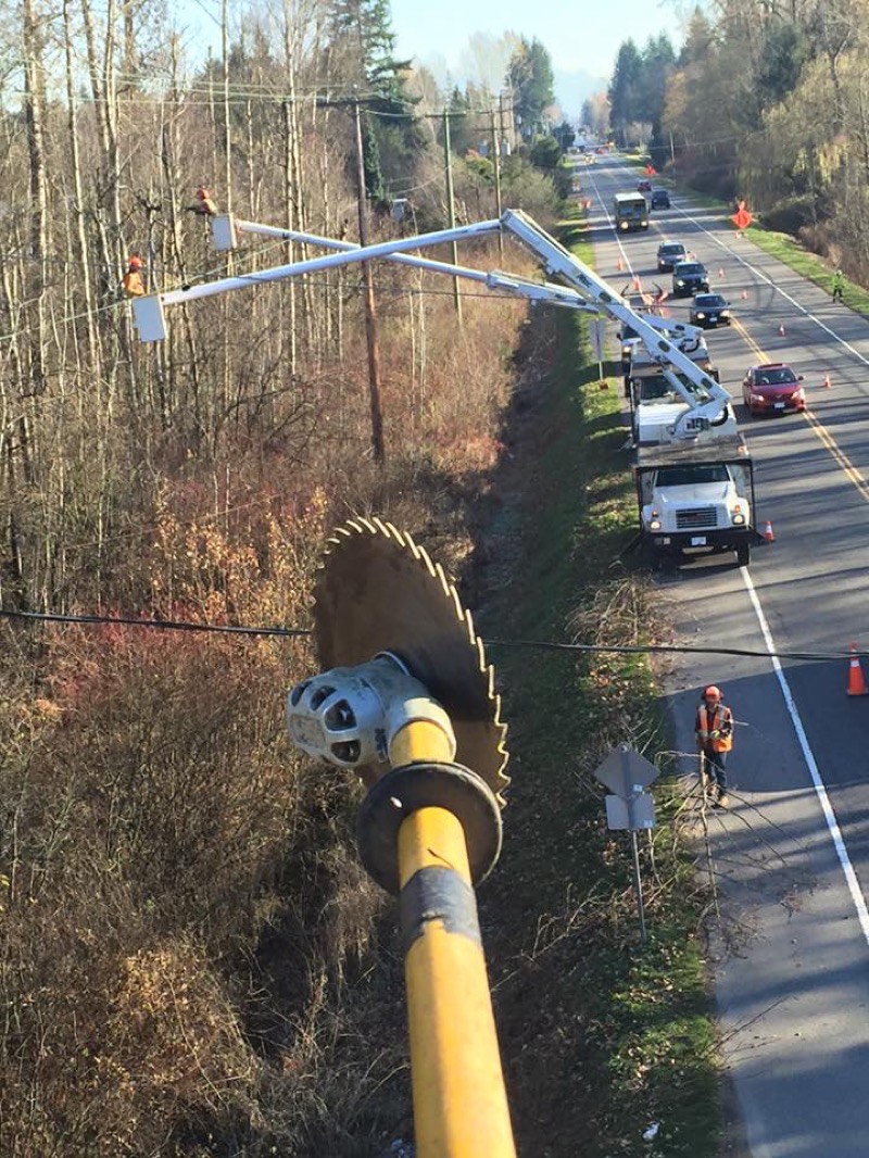 Commercial utility tree crew working roadside with bucket trucks